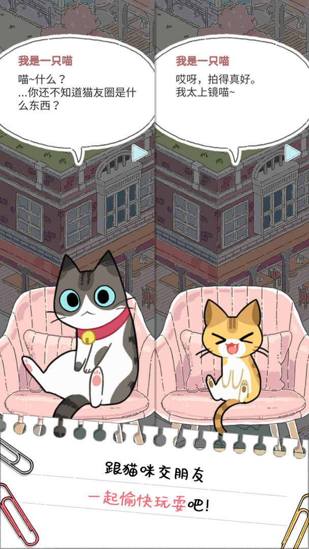 猫友圈：猫咪的旅行游戏截图4