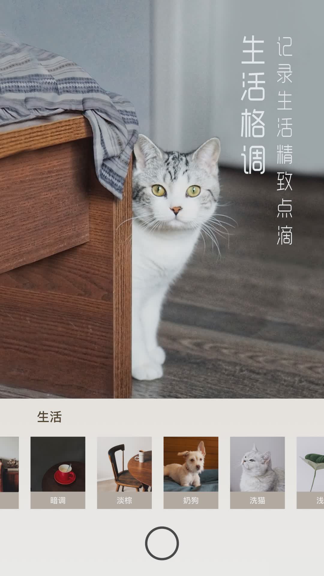 UOKA有咔软件截图