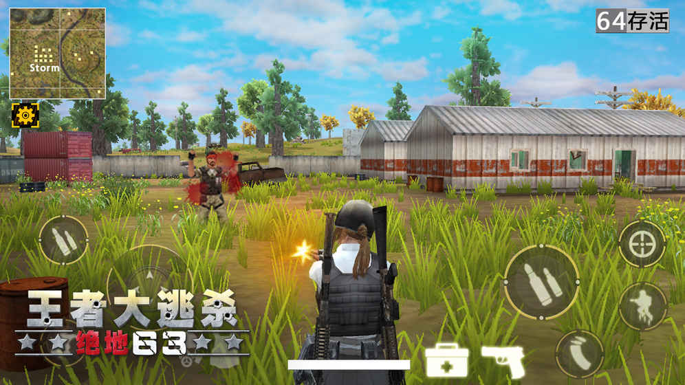 王者大逃杀绝地63游戏截图4