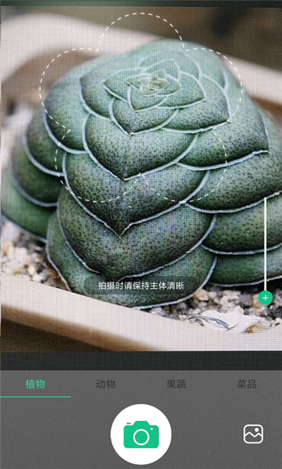 生活识物软件截图