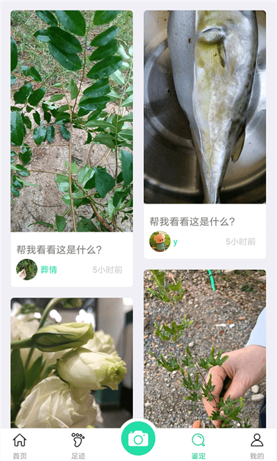生活识物软件截图