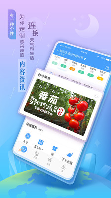 墨迹天气预报软件截图